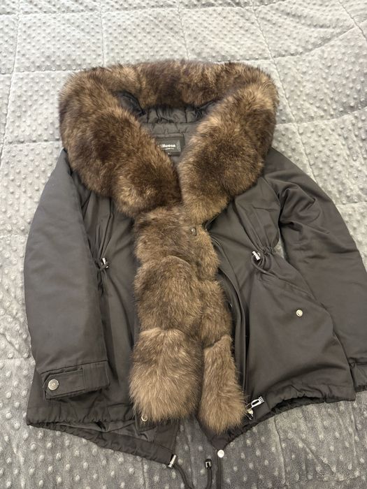 Парка песец зима