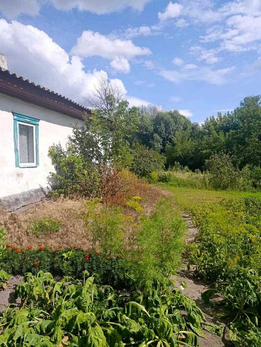 Будинок ділянка 10 соток Мена (SP)