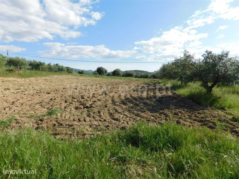 Terreno / Fundão, Telhado