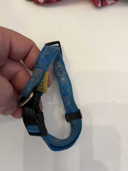 Zestaw dla szczeniaka