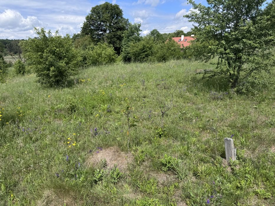 Продаж ділянки під забудову
