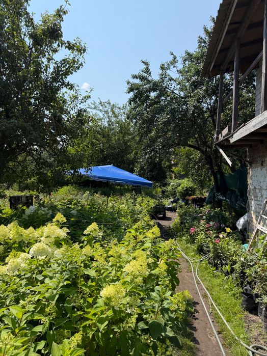 Продам ділянку в Броварах, район Старий центр; 8 соток