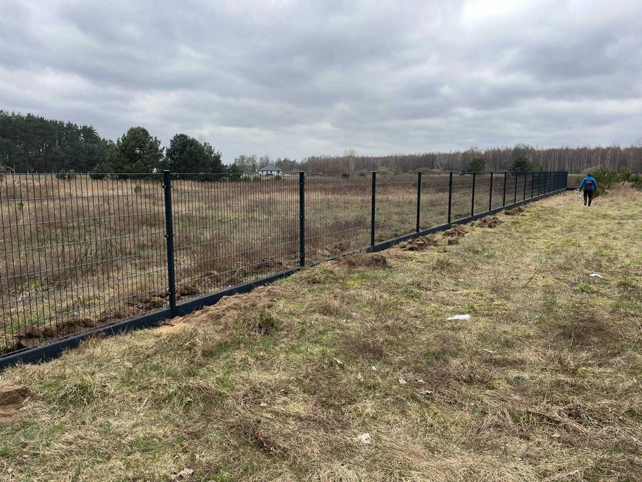 Panel ogrodzeniowy 2D 123 3D 6/5/6 143 oraz 8/6/8 163 ocynk+ral 183