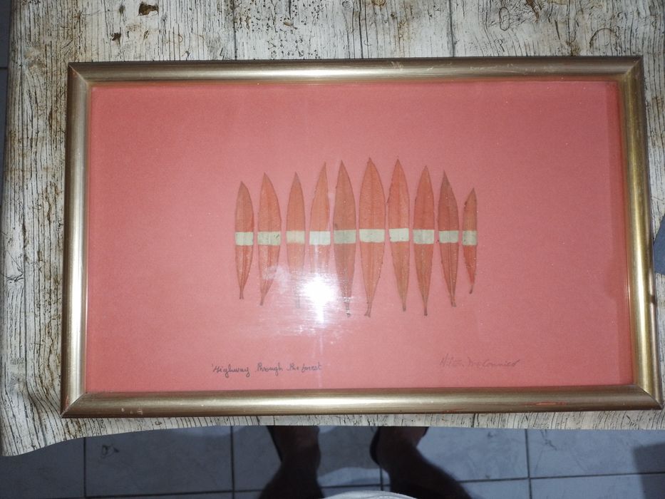 Original "highway to the forest"