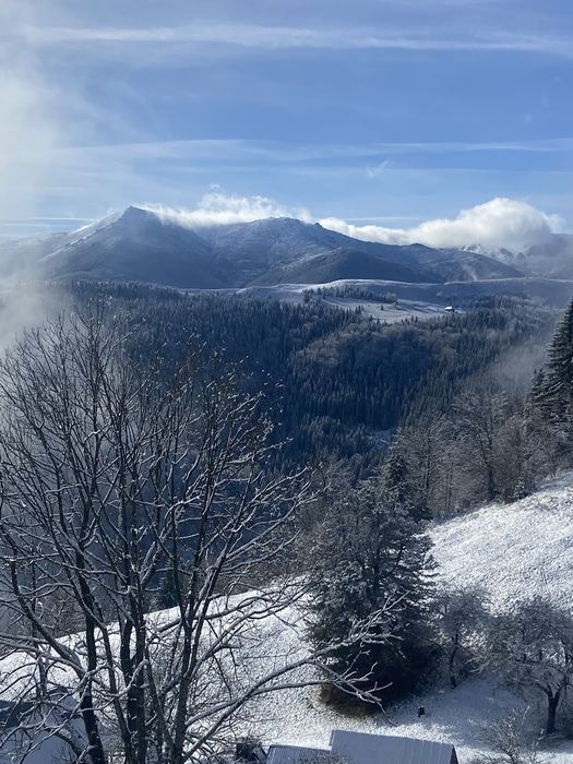 Карпати інвестиції , земля з панорамою гір / під котеджі та туризм