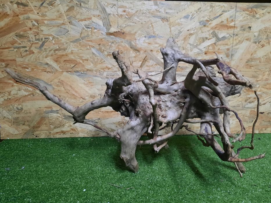 Korzeń do akwarium Red Moore Wood nr 863 o wymiarach 55/39/35