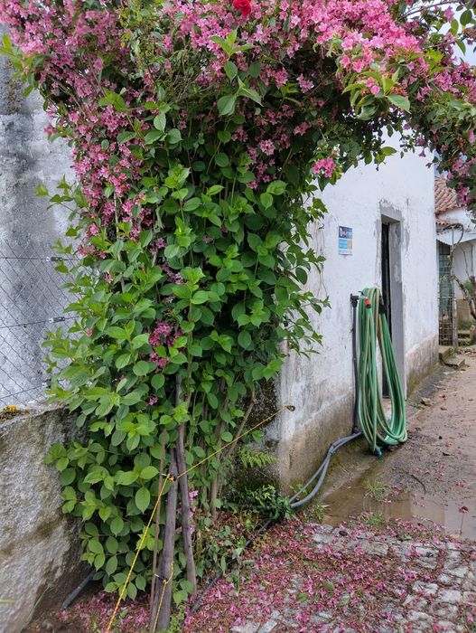 Quinta com duas casas em excelente localização em Trancoso