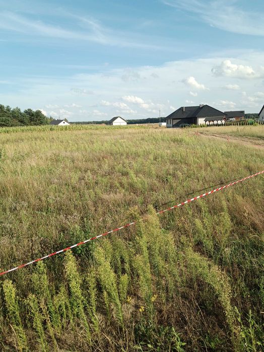 Działka budowlana Lubochnia - Widok 4