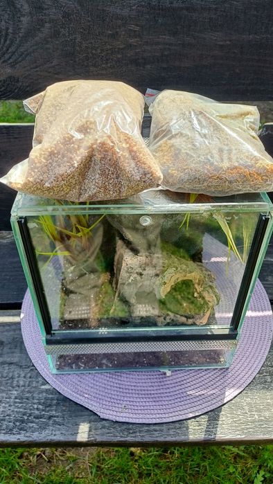 Terrarium szklane