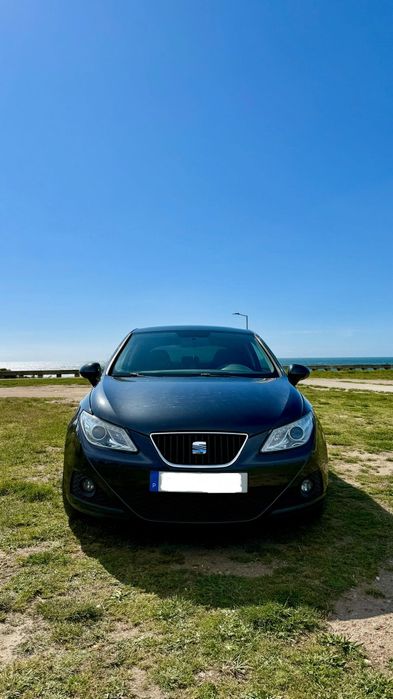 SEAT Ibiza 6J 1.9 TDi 190cv