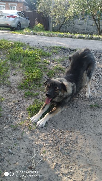 Безкоштовно. Дуже гарна молоденька дівчинка