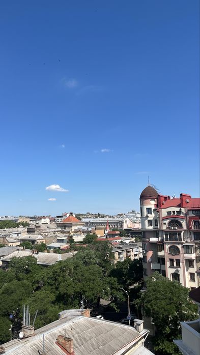 Квартира в центре, панорама на город, Замок Цветов