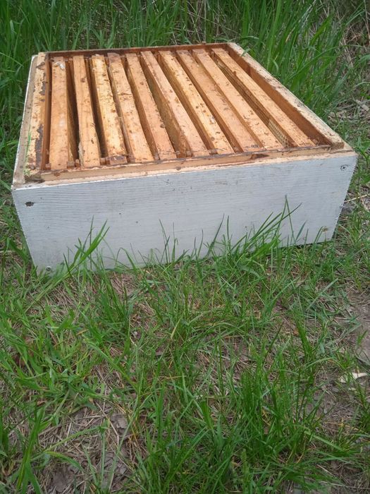 Вулики. Ульи Дадан 10-тирамочнфе с полным комплектом суши и магазинами