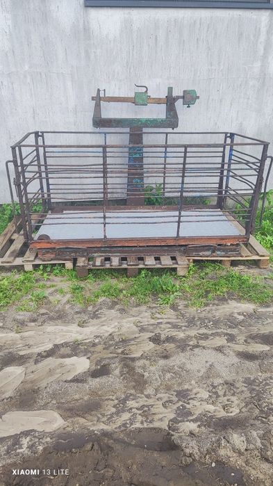 Waga inwentarska do bydła trzody