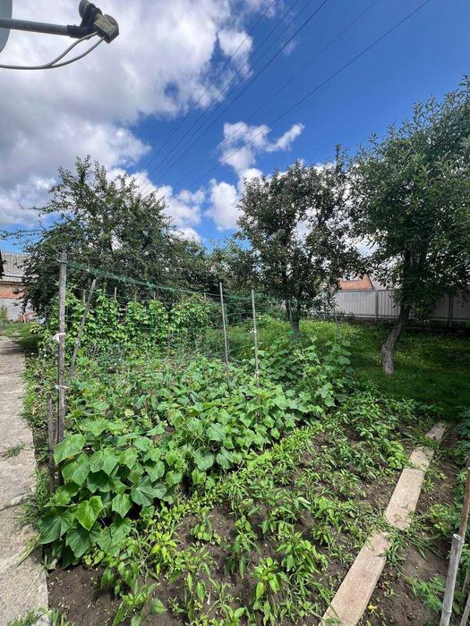 Будинок за адресою вул. Шалімова (площа 125 м²) - Atlanta.ua - фото 24