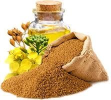 Рыжеевое рыжиковое масло холодного отжима 500мл