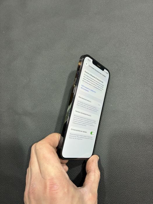 iPhone 12 Pro Max 256 GB