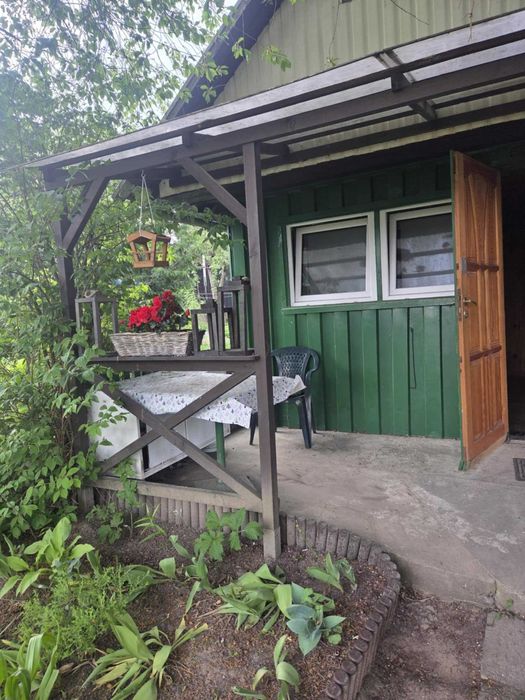 Działka ROD SAMI SWOI DYS - domek, prąd, woda