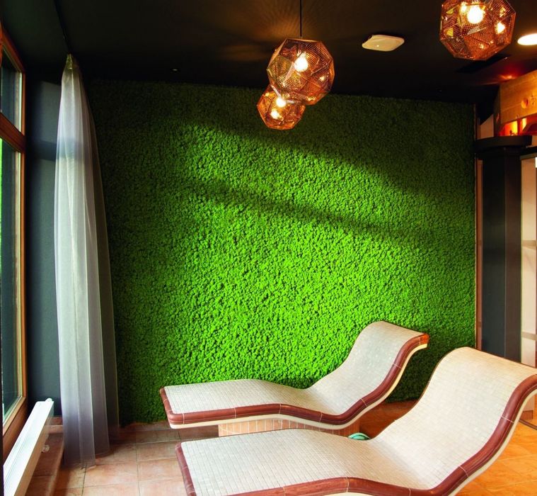 Картини з Мохом. Декор із Моху. Фітопанель з Моху