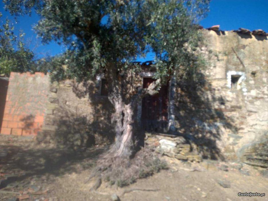 Casa rustica em xisto com terreno e olival