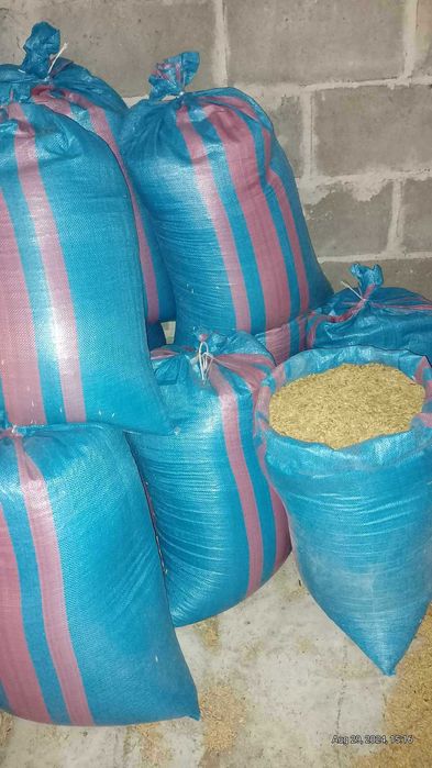 Sprzedam owies Rambo