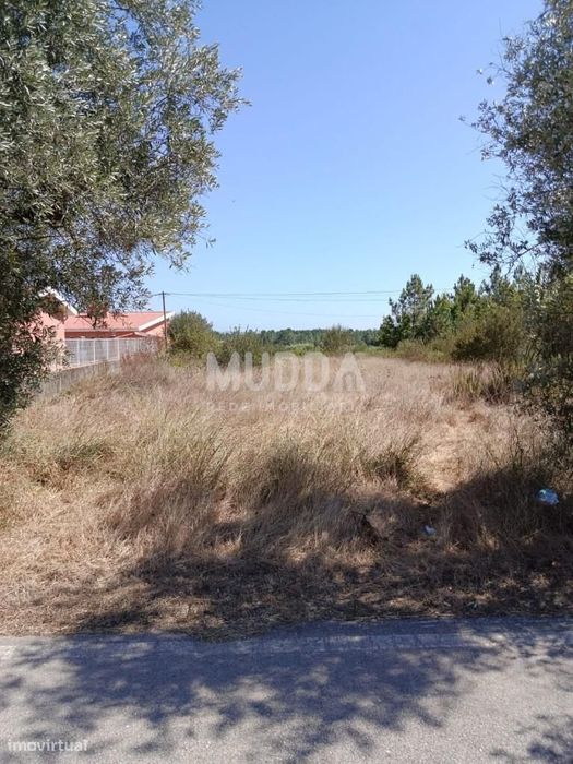 Oportunidade de Investimento – Terreno Urbano em São Lourenço (Bairro — S. Lourenço Do Bairro, Aveiro