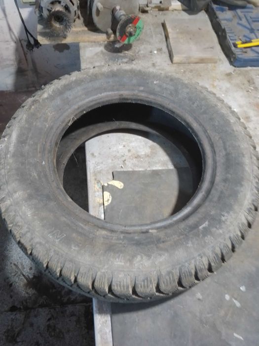 розина р 13 тунга нордвей  зимова