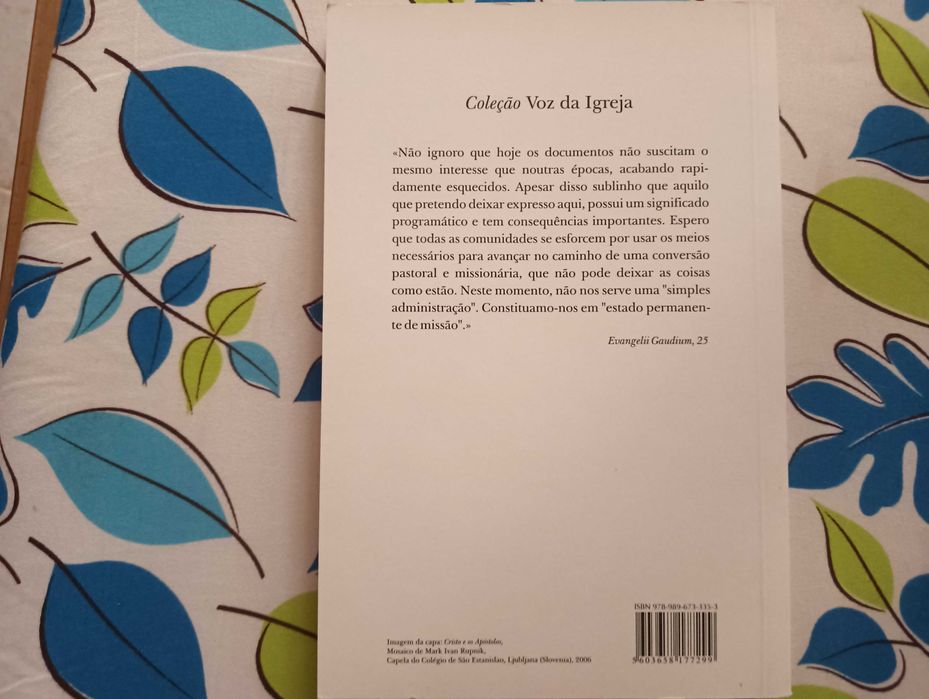 A Alegria do Evangelho – Exortação Apostólica do Papa Francisco