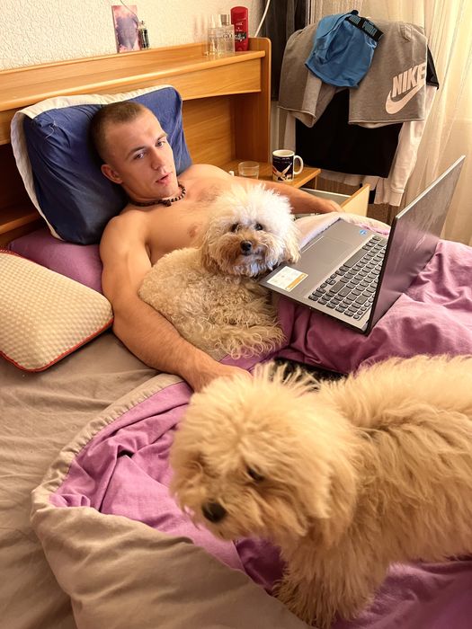 В’язка той-пудель