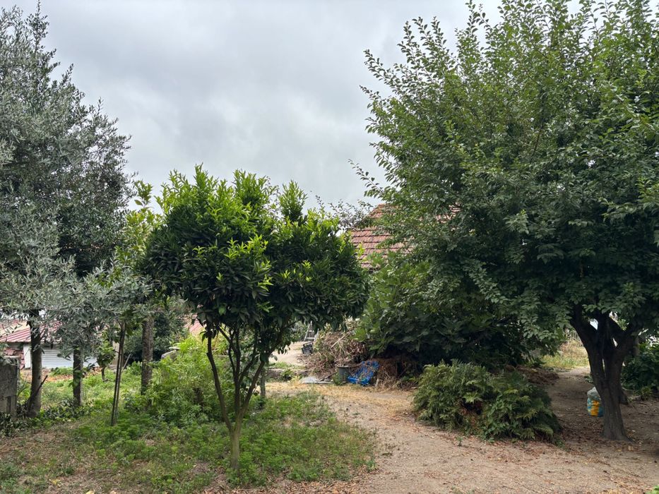 Vende-se Casa e Terreno