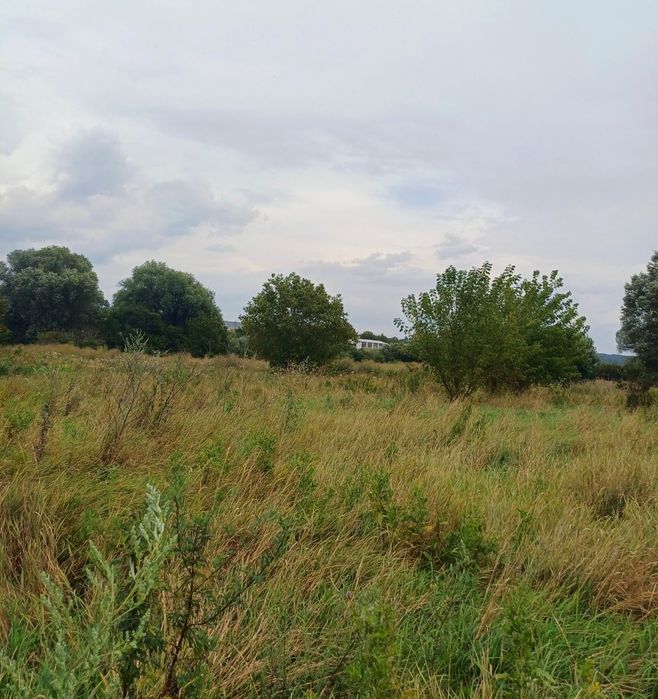 Продаж земельної ділянка на Лезнево.