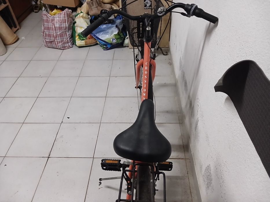 Bicicleta Adulto