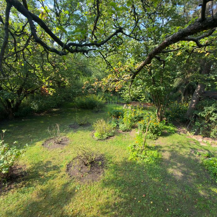 Wyjątkowa działka ROD – Mokotów | ROD im. Jana III Sobieskiego | 450 m² | Piękny starodrzew | Piwniczka - Widok 2