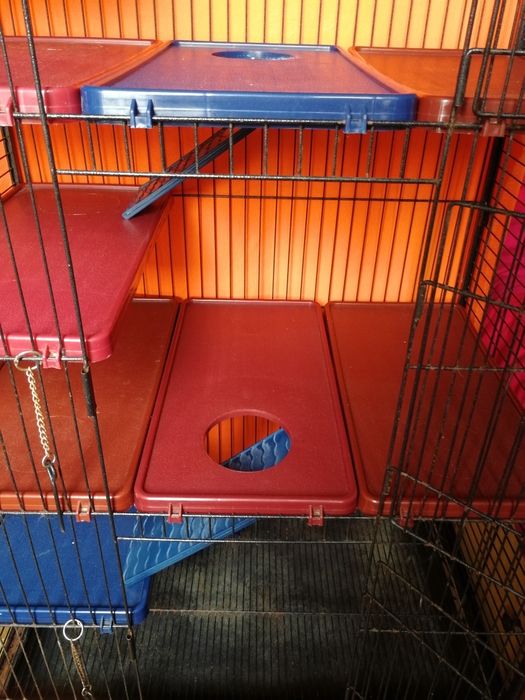 Gaiola tamanho grande