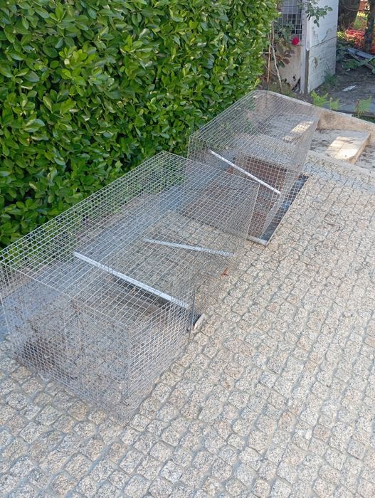 Gaiolas de criação caturras
