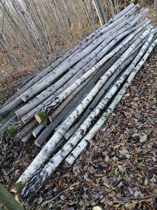 Стойки під монолітну плиту.