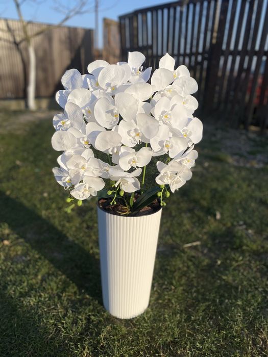 Латексна орхідея