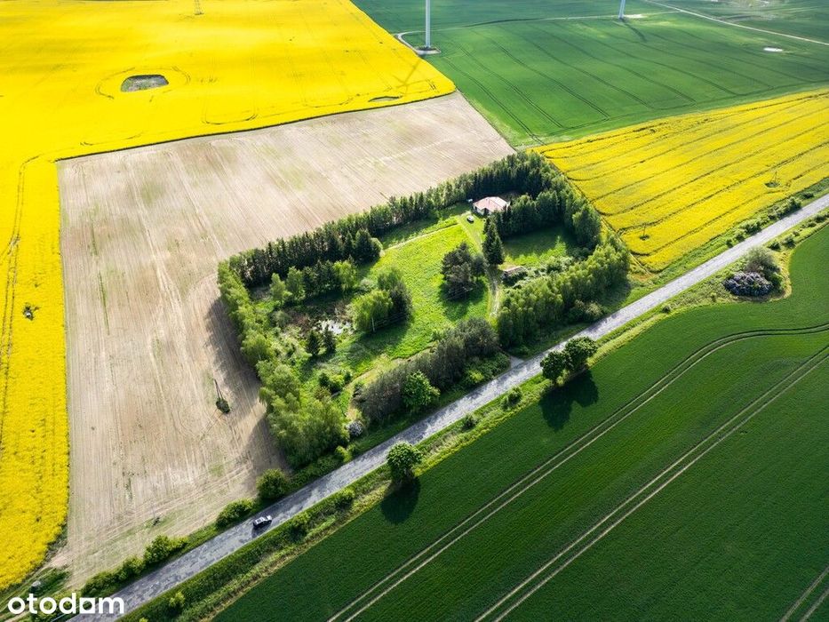 Dom z potencjałem, 1,6 HA ZIEMI + STAW