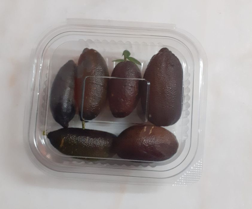 lima caviar congelado