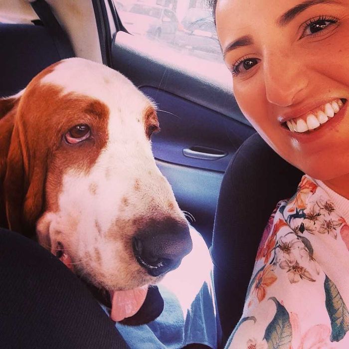 Pet Sitting em Estadia Familiar para animais domésticos Amadora