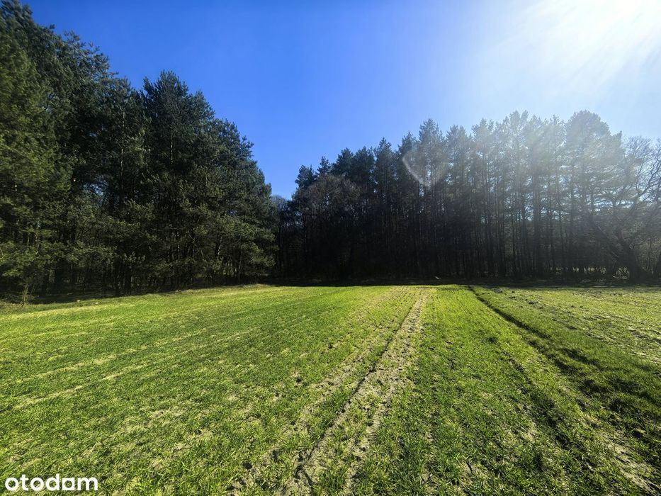Działka budowlano-rolna 1,34h. w pięknym lesie z WZ pod dom