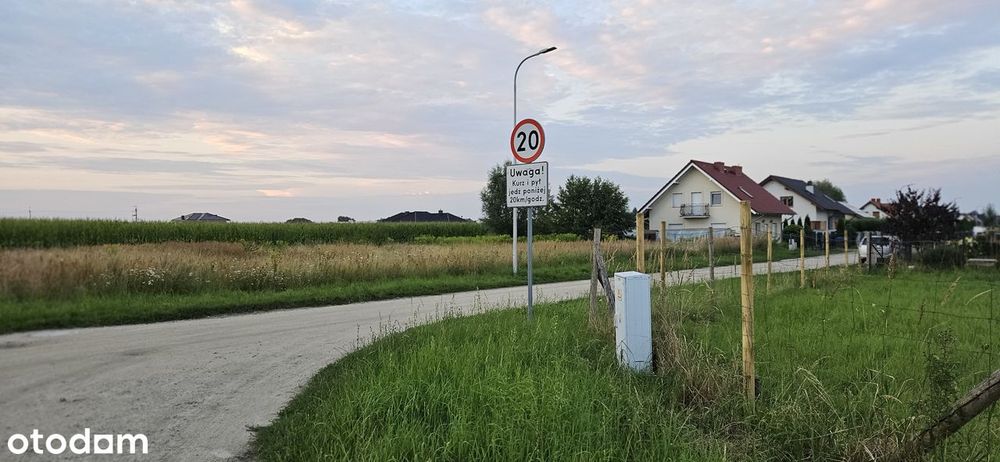 Zdjęcie 4