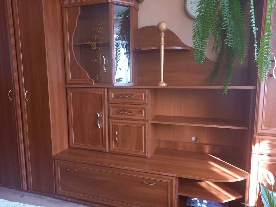 Meblościanka do salonu