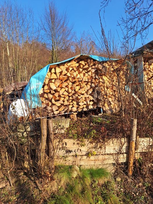 SUCHE Drewno opałowe Jesion I Jawor