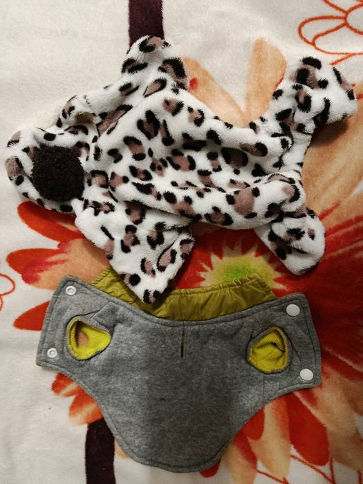 Одяг для маленьких песиків