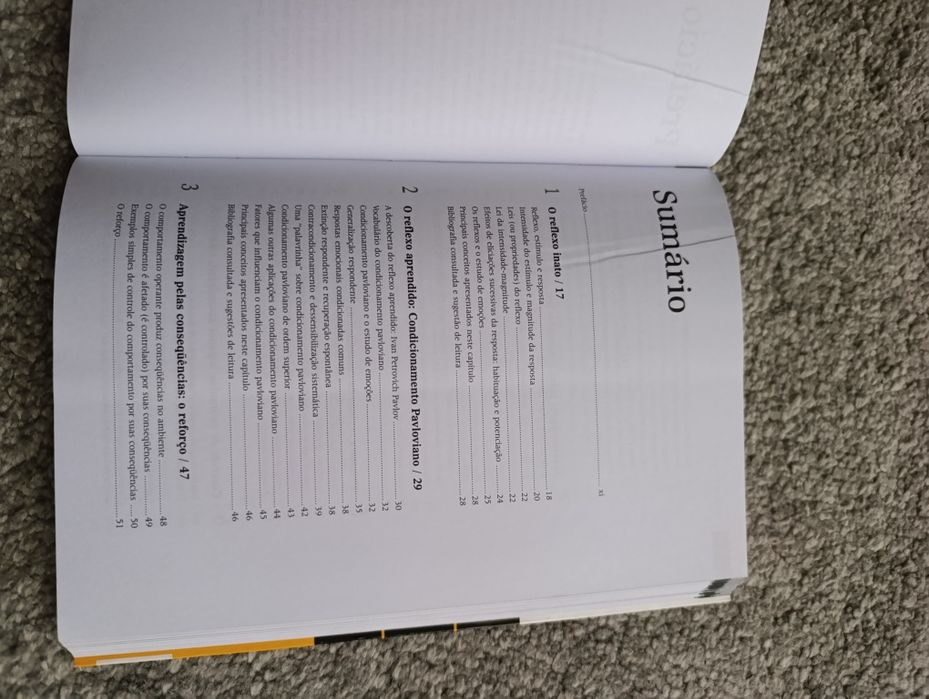 Princípios Básicos de Análise do Comportamento (portes incluídos)
