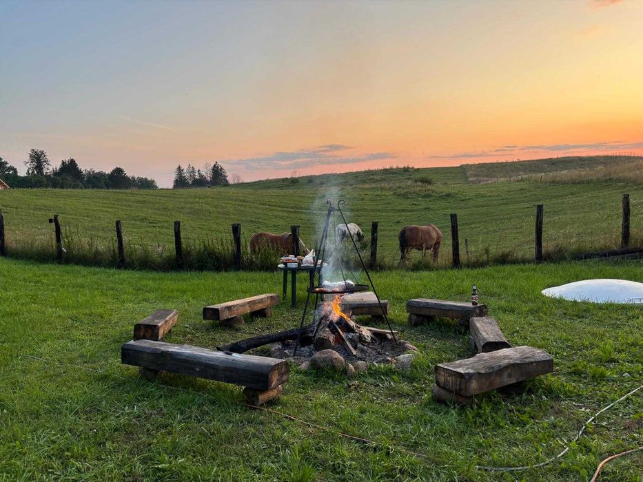 Leśny Zakątek – Mazury / Warmia – Domek nad jeziorem Dadaj – Ramsowo