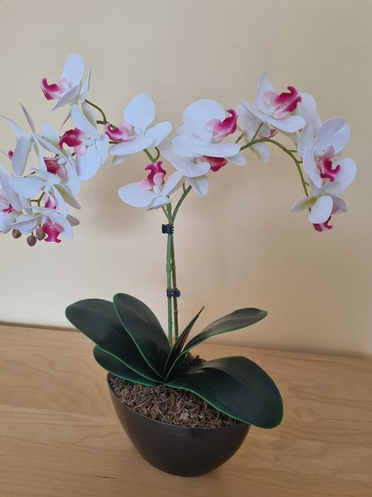 Stoczyk sztuczny w doniczce