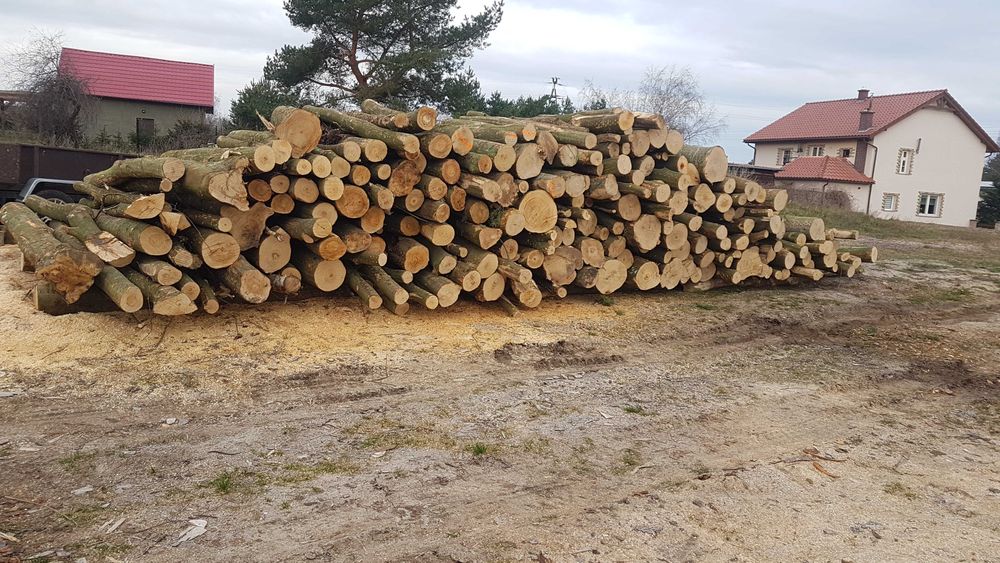 Drewno opałowe kominkowe