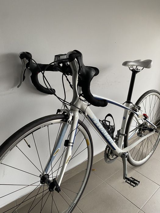 Rower szosowy SPECIALIZED Dolce Elite 47